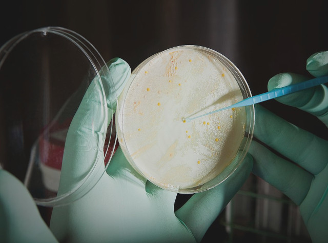 Collagen Peptide