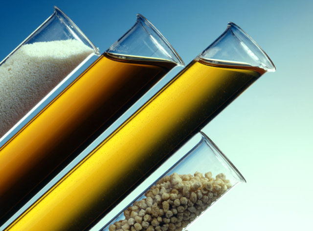 Food Emulsifier