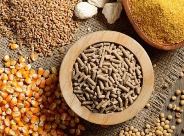 Food Ingredients